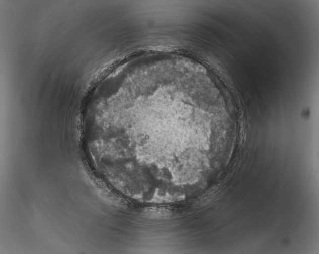 X0000115180354200912091052