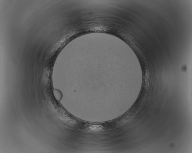 X0000115180355200912091052