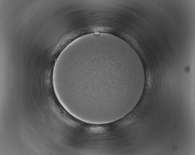 X0000115180357200912091052