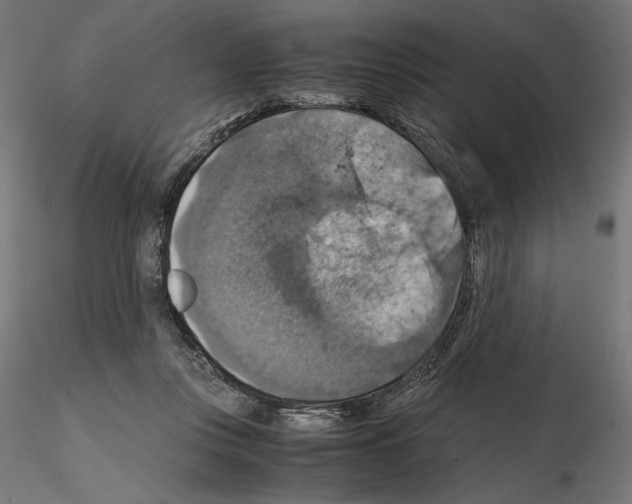 X0000115180359200912091052