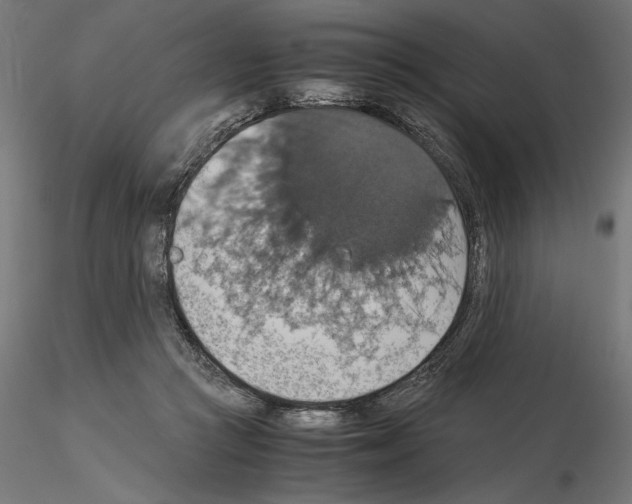 X0000115180361200912091053