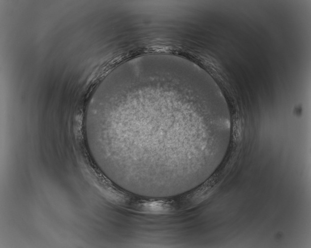 X0000115180365200912091053