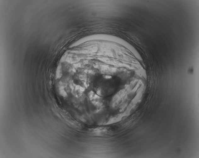 X0000115180366200912091053