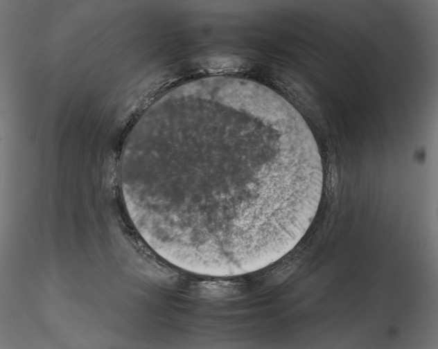 X0000115180367200912091053