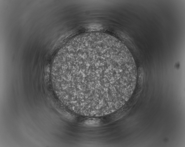 X0000115180369200912091053