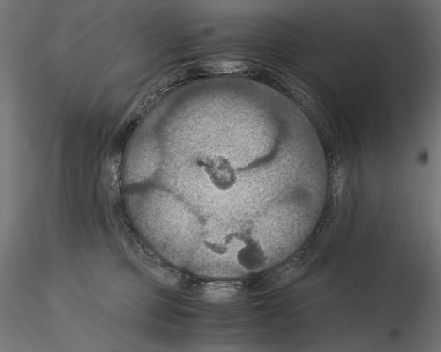 X0000115180373200912091053