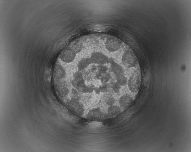 X0000115180374200912091053