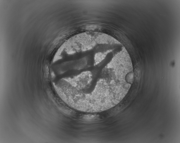 X0000115180375200912091053