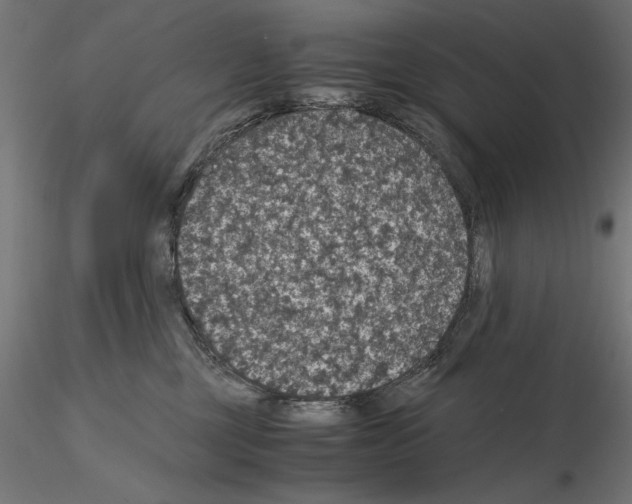 X0000115180377200912091053