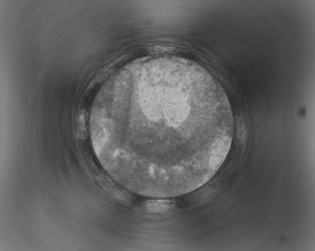 X0000115180378200912091053