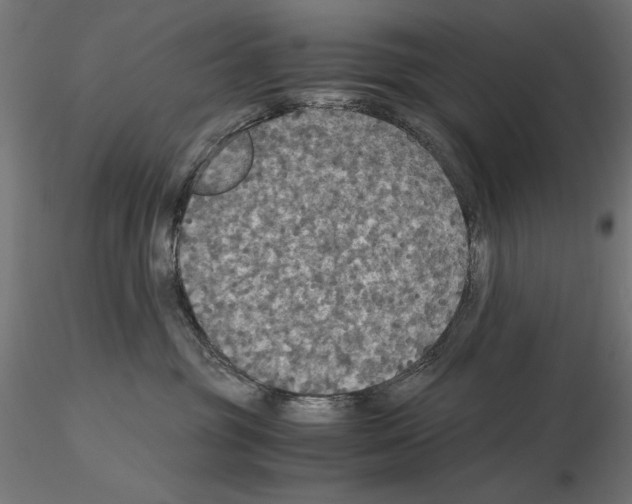 X0000115180381200912091053