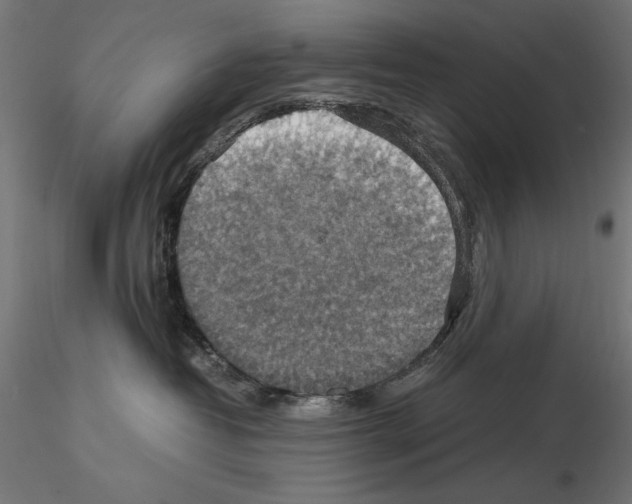 X0000115180382200912091053