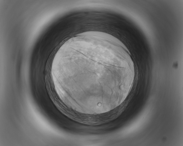 X0000115180383200912091053