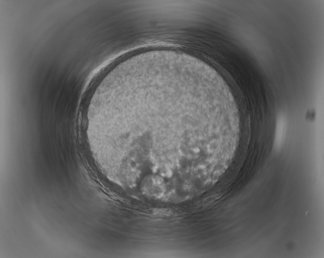 X0000115180388200912091052