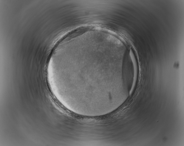 X0000115180389200912091052