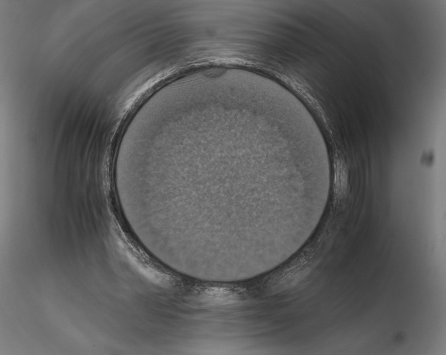 X0000115180390200912091052