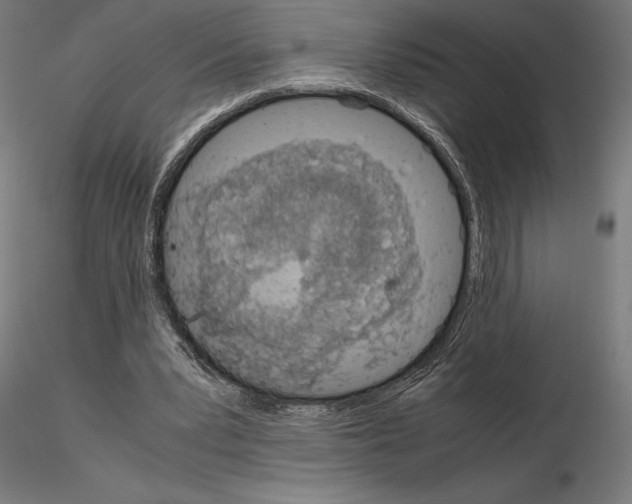 X0000115180391200912091052