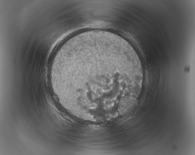 X0000115180392200912091052