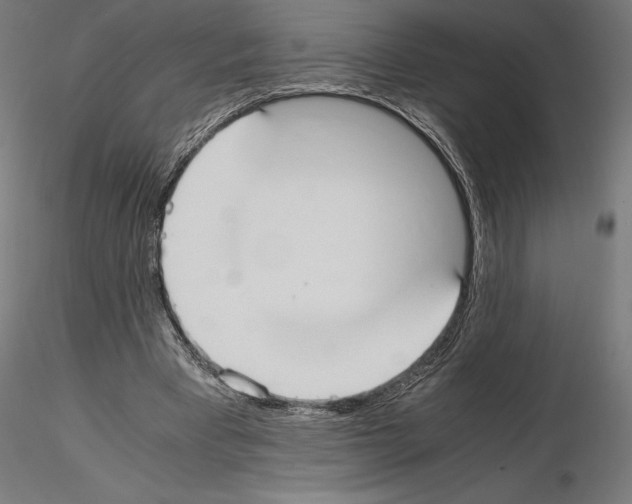 X0000115180393200912091052