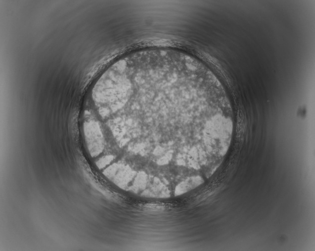 X0000115180394200912091052