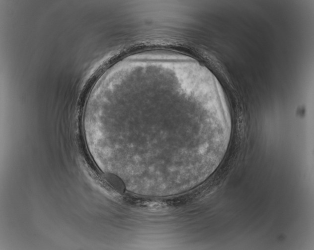 X0000115180395200912091052