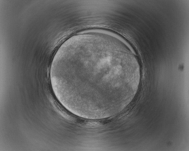 X0000115180397200912091052