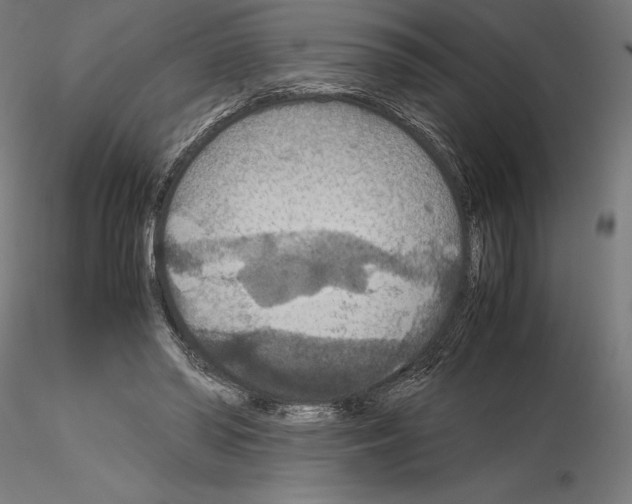 X0000115180398200912091052