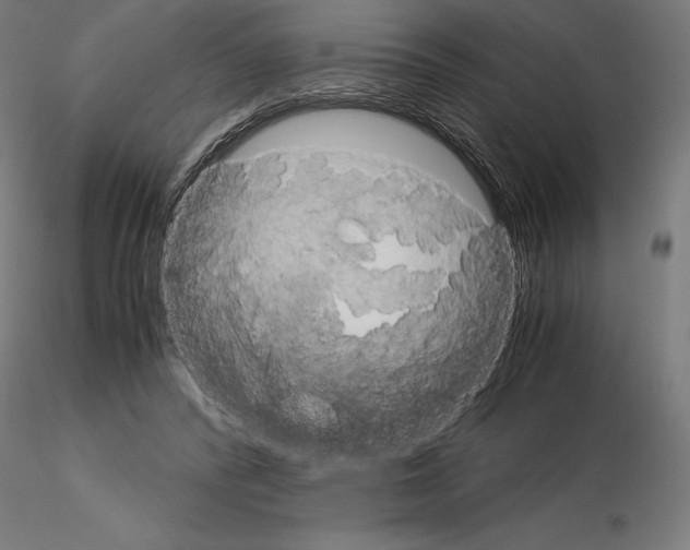 X0000115180400200912091052