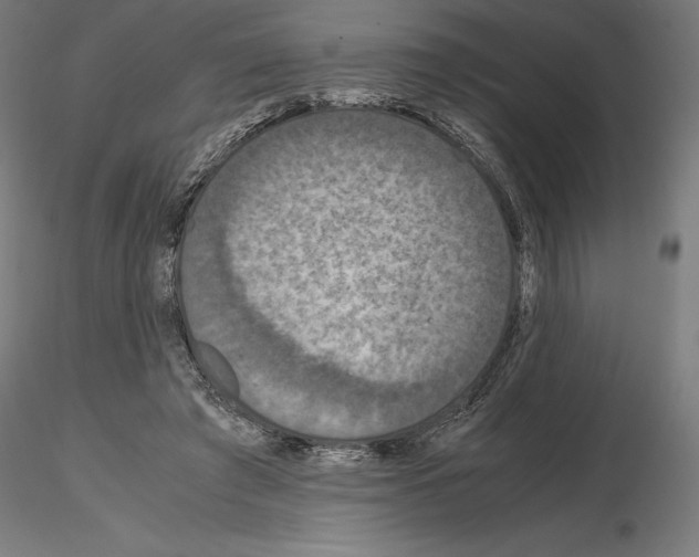 X0000115180401200912091052