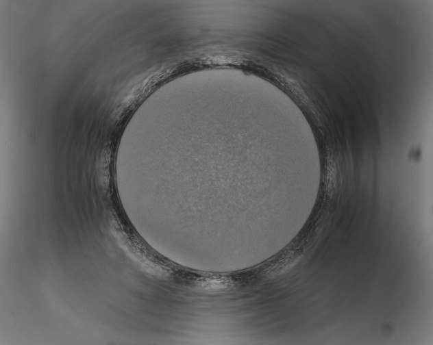 X0000115180402200912091052