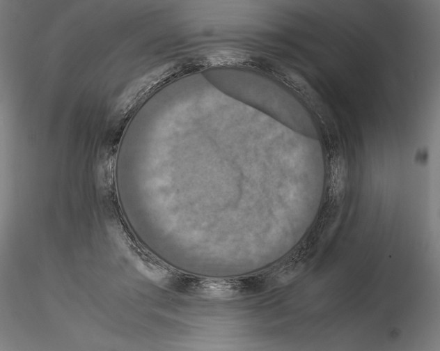 X0000115180405200912091052