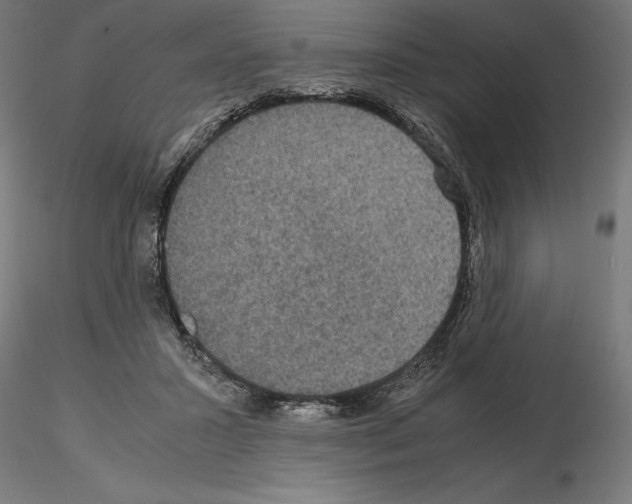 X0000115180407200912091052