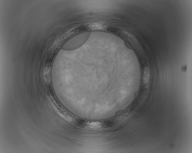 X0000115180409200912091052