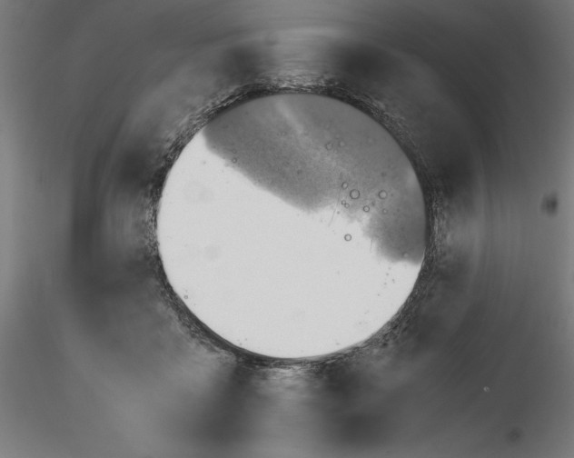 X0000115180411200912091052