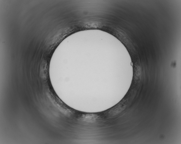 X0000115180414200912091051