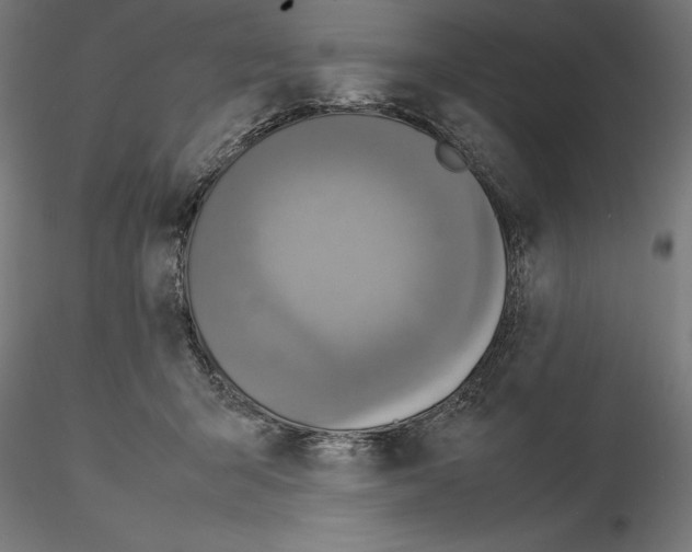 X0000115180415200912091051