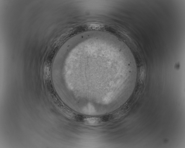 X0000115180417200912091051