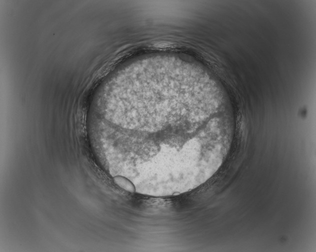 X0000115180421200912091051