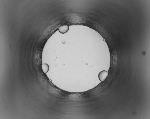 X0000115180422200912091051