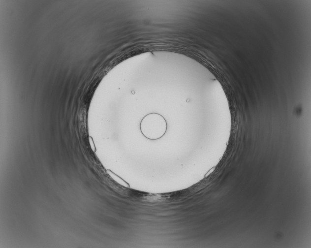 X0000115180425200912091051