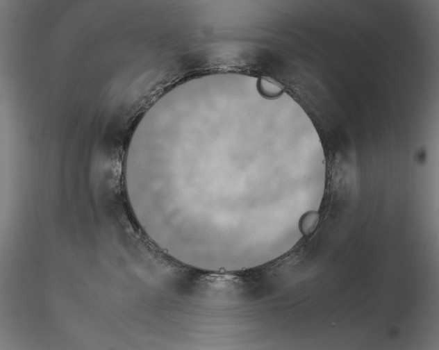 X0000115180427200912091051