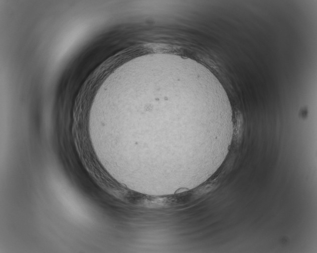 X0000115180430200912091051