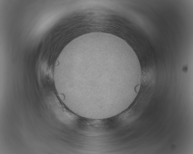 X0000115180431200912091051