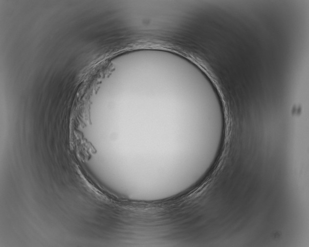 X0000115180433200912091050