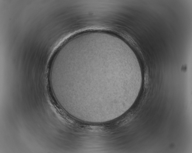 X0000115180436200912091050