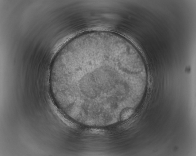 X0000115180437200912091050