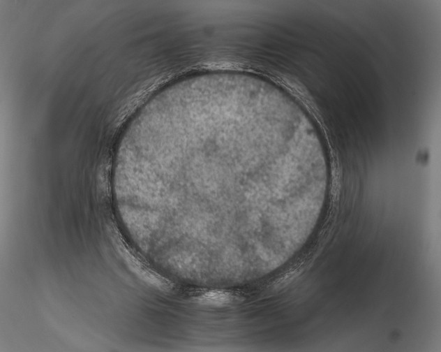 X0000115180441200912091051