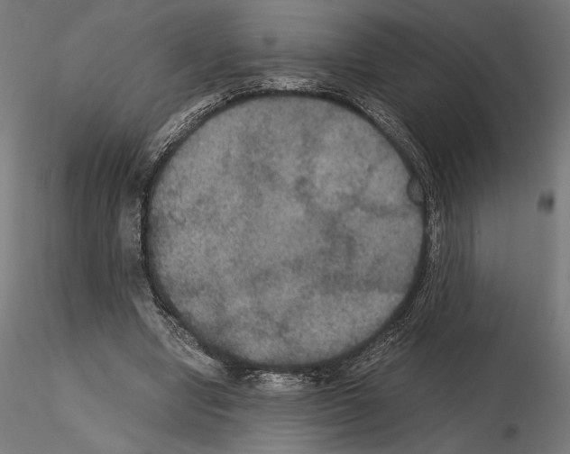 X0000115180442200912091051