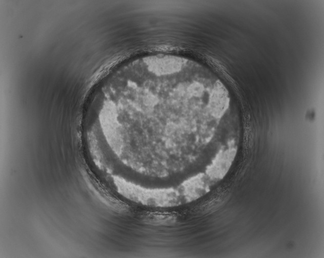 X0000115180443200912091051