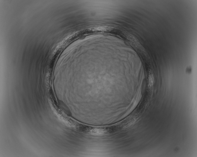 X0000115180444200912091051